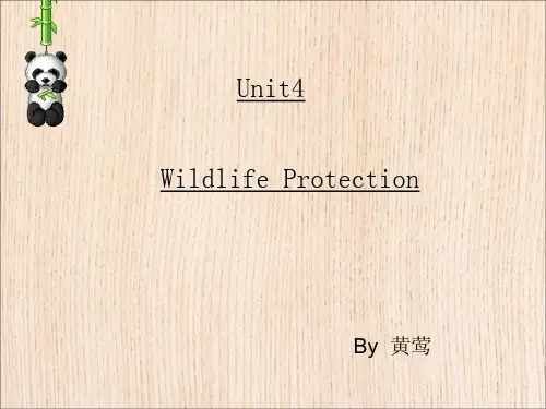 人教版高中英语 必修二 Unit4 《Wildlife protection ---Reading(