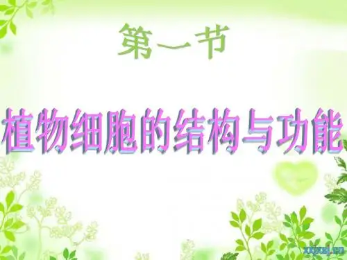 苏教版七年级生物上册2.3.1植物细胞结构和功能 (共26张PPT)