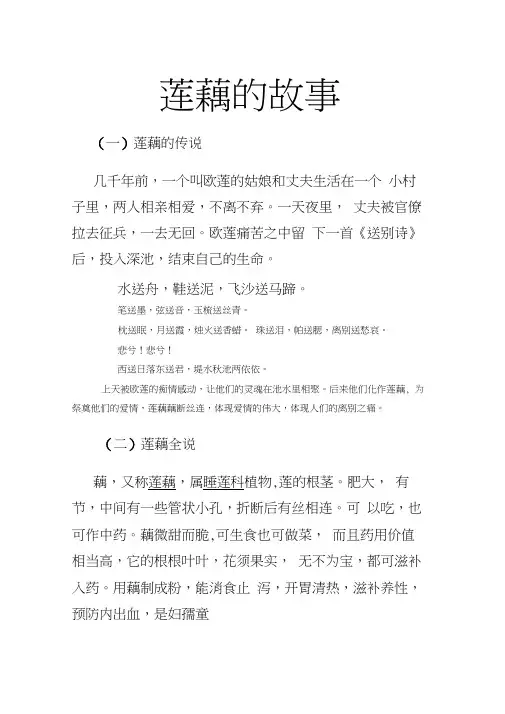 莲藕的故事
