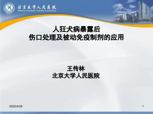 狂犬病暴露处置详解