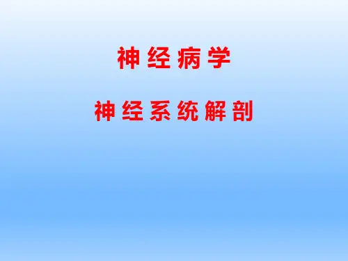 神经病学 十二对颅神经检查