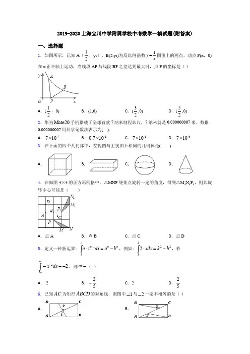 2019-2020上海宜川中学附属学校中考数学一模试题(附答案)