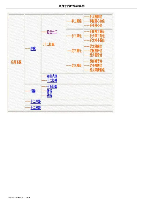 全身14经络示范图