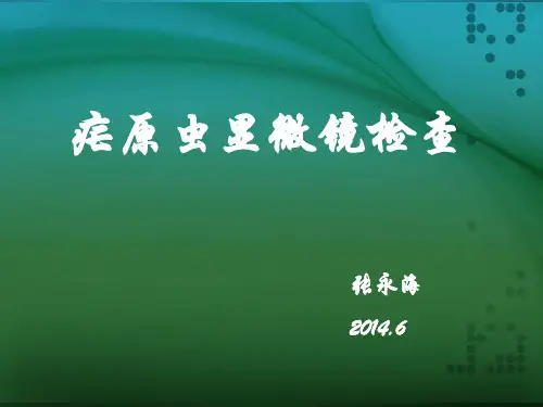 7疟原虫及虫卵显微镜检查