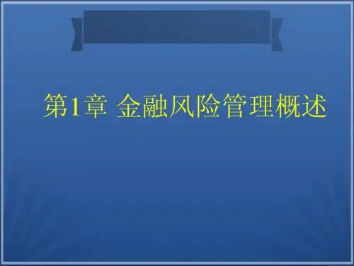 第一章金融风险管理概述
