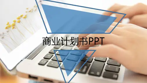 大气简约商务商业计划书创业融资ppt模板 (2)