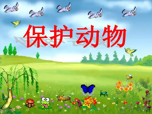 口语交际与习作保护有益的小动物PPT课件