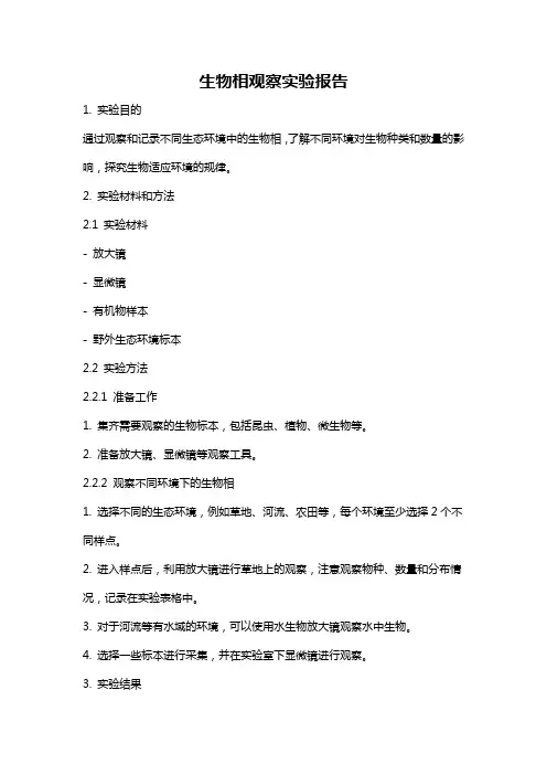 生物相观察实验报告