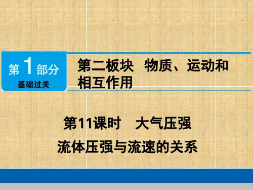 中考物理复习课件第11课时【精编版】