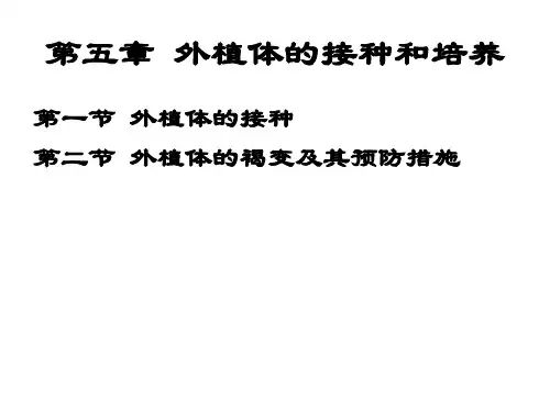 外植体的接种和培养