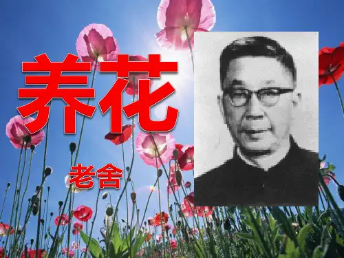 《养花》3精选优质 PPT