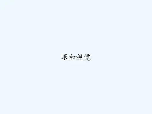 眼和视觉-PPT