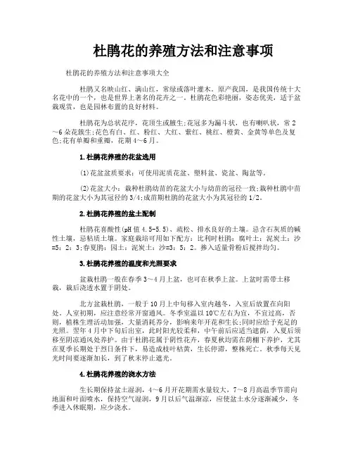 杜鹃花的养殖方法和注意事项