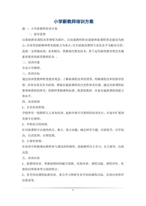 小学新教师培训方案