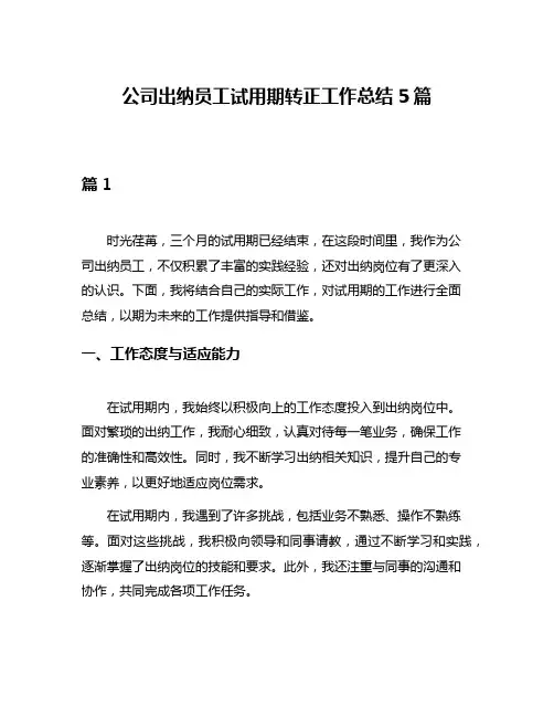 公司出纳员工试用期转正工作总结5篇