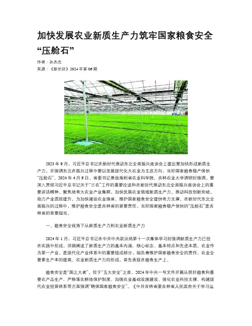 加快发展农业新质生产力筑牢国家粮食安全“压舱石”