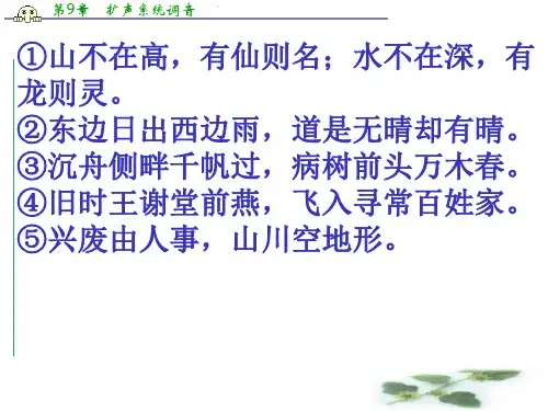 山东省枣庄第八中学北校高二语文选修《唐诗宋词选读》课件：第五专题《西塞山怀古》(共16张PPT)