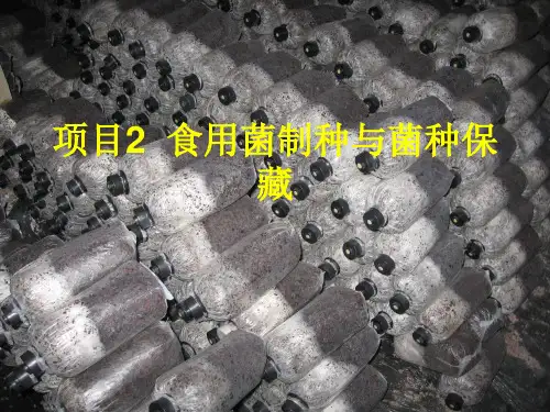 食用菌生产技术PPT课件(共10单元)03食用菌制种与菌种保藏