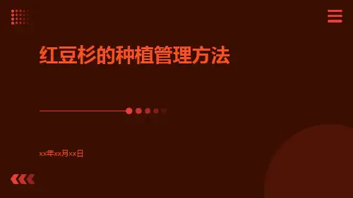 红豆杉的种植管理方法