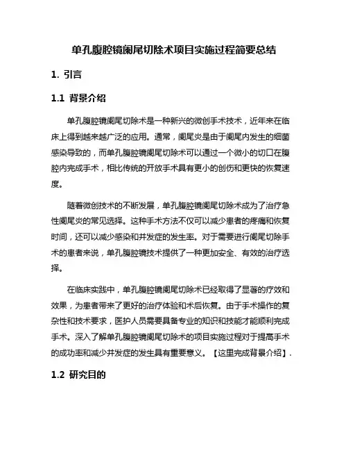 单孔腹腔镜阑尾切除术项目实施过程简要总结