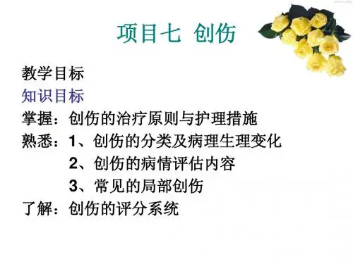 创伤(1)