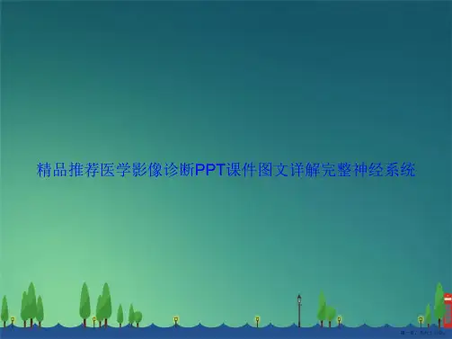 精品推荐医学影像诊断图文详解完整神经系统讲课文档