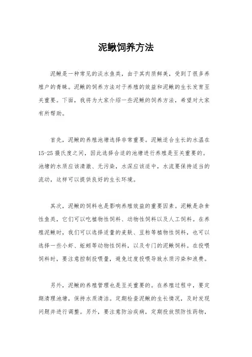 泥鳅饲养方法