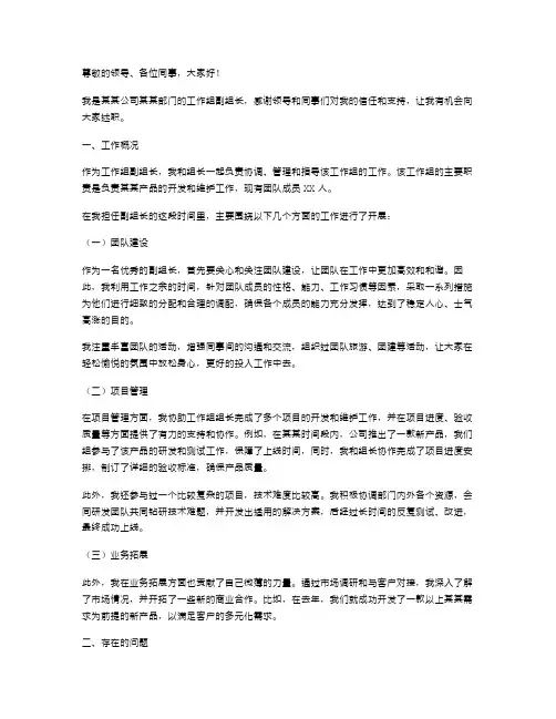 工作组副组长述职报告
