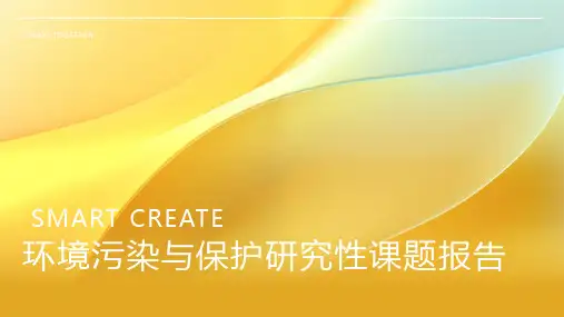 环境污染与保护研究性课题报告