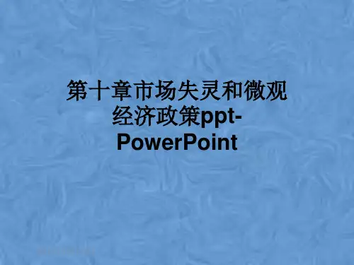 第十章市场失灵和微观经济政策ppt-PowerPoint