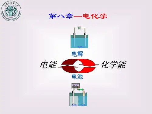 物理化学 电化学