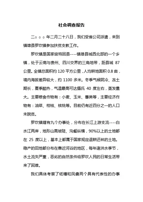 云南镇雄县罗坎镇社会调查报告(范本,免费)