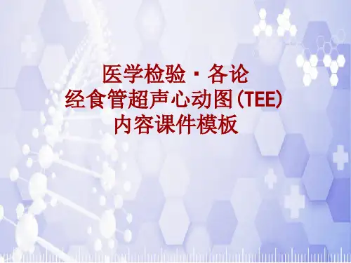 医学检验·检查项目：经食管超声心动图(TEE)_课件模板