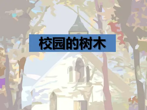 教科版三年级科学上册《校园的树木》植物PPT课件