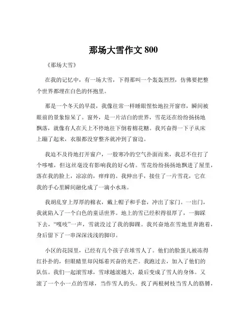 那场大雪作文800