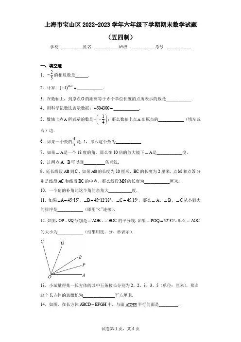 上海市宝山区2022-2023学年六年级下学期期末数学试题(五四制)