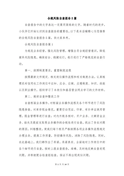 合规风险自查报告5篇