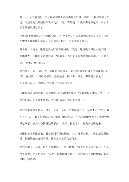 《捉蜻蜓,童趣盎然》
