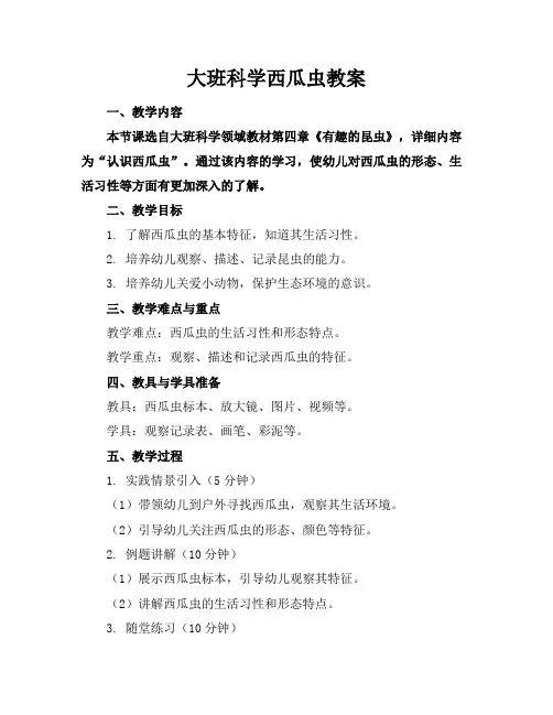 大班科学西瓜虫教案