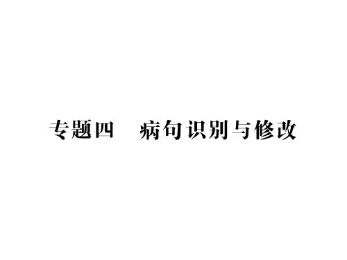 中考语文专项复习精品课件专题四 病句识别与修改(41张)