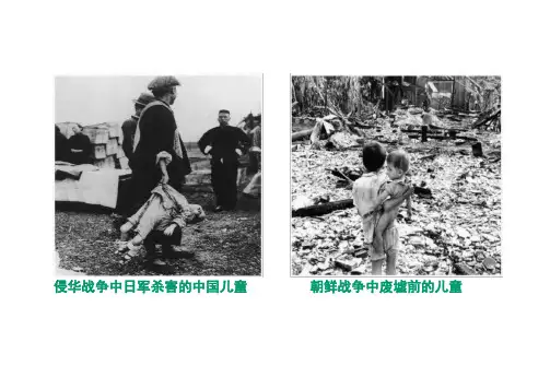2.2《大战中的插曲》课件(共22张PPT) 统编版高中语文选择性必修上册