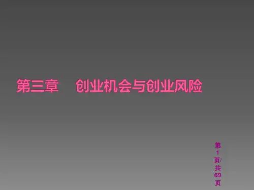 创业机会与创业风险ppt课件