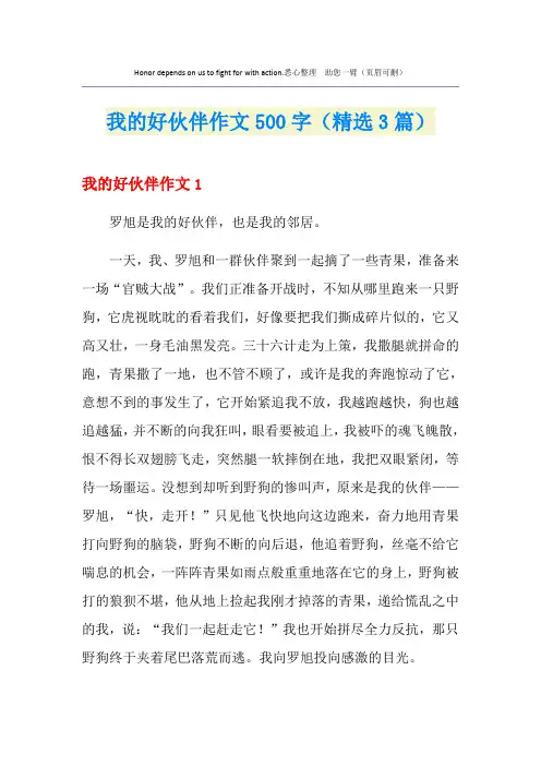 我的好伙伴作文500字(精选3篇)