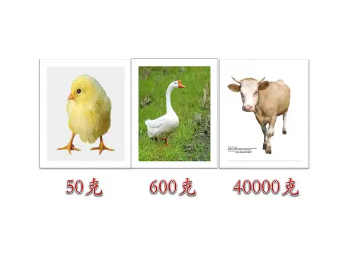 三年级上册数学课件认识千克︳西师大版