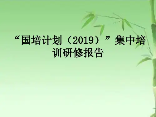 “国培计划”集中培训研修报告PPT