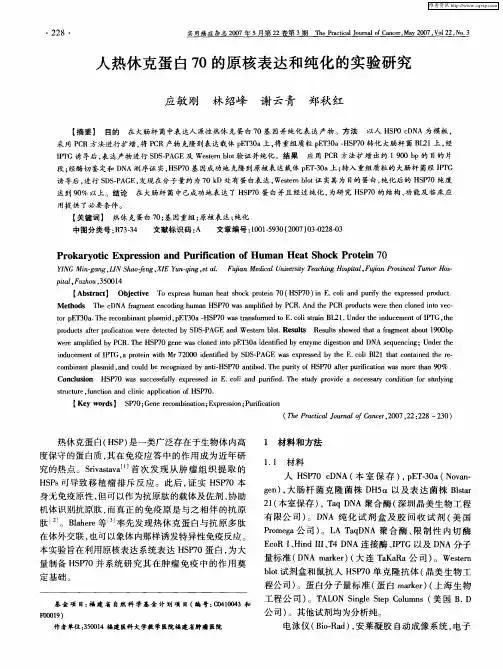 人热休克蛋白70的原核表达和纯化的实验研究