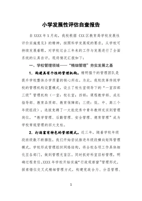 小学发展性评估自查报告