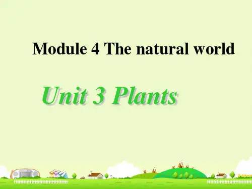 牛津上海版三年级英语上册 M4U3-Plants