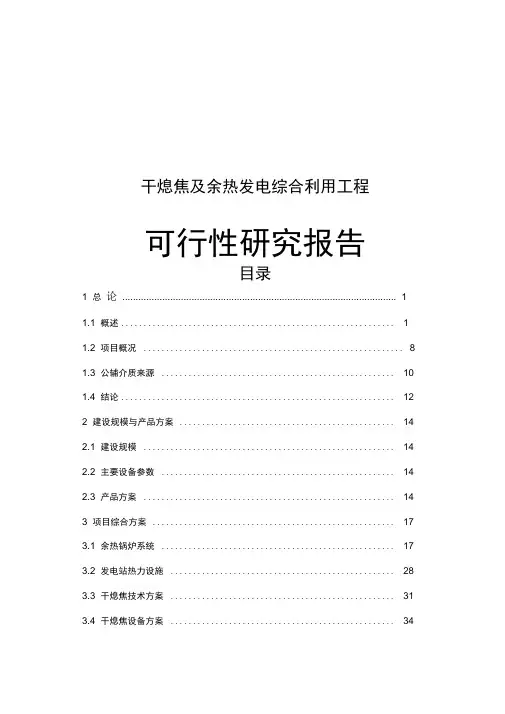 干熄焦及余热发电综合利用工程可行性研究报告