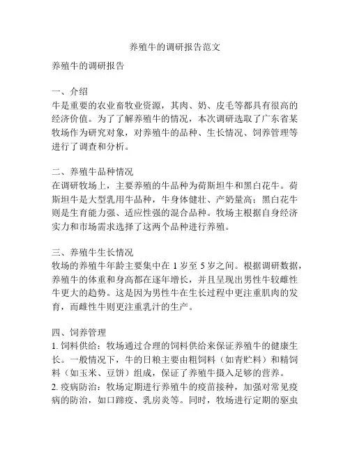 养殖牛的调研报告范文